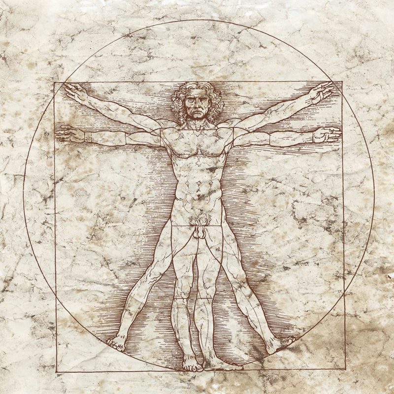 davinci davinci